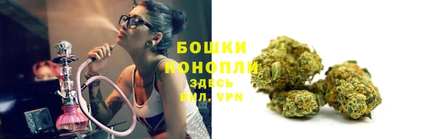 гидра Верея