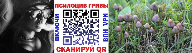 blacksprut ссылка  Ижевск  Псилоцибиновые грибы прущие грибы  продажа наркотиков 